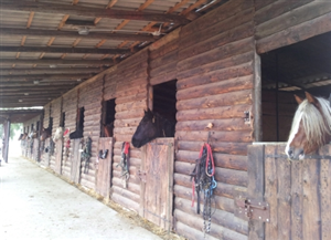 Cascina Monticello - Circolo Ippico